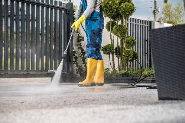 Spring Cleaning in Cold Springs, NV